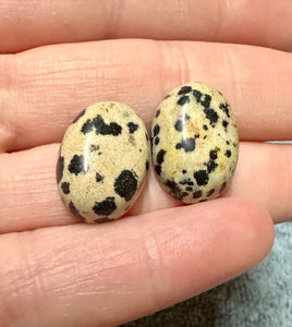 Dalmatian Jasper