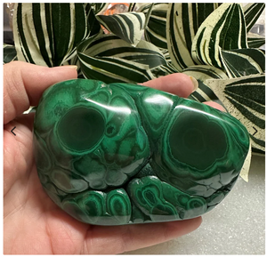Polished Malachite Freeform #2
