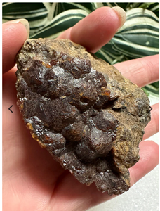 Andradite Garnet, Zacatecas, Mexico