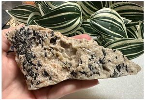 Black Tourmaline Specimen