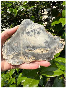 Dendritic Opal