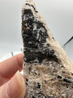 Black Tourmaline in Matrix Specimen