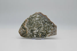 8th Vein Ocean Jasper Slab #8