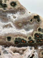 8th Vein Ocean Jasper Slab #62