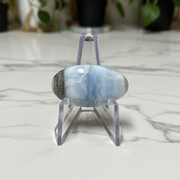 Owyhee Blue Opal Cabochon #50