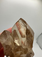 Natural Citrine Cathedral Crystal (Congo) – Kundalini Lightbrary Specimen #1