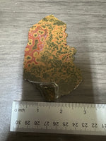 8th Vein Ocean Jasper Slab #1