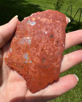 8th Vein Ocean Jasper Slab #56