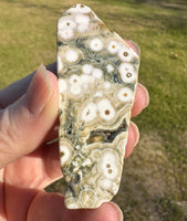 8th Vein Ocean Jasper Polished Free Form #17