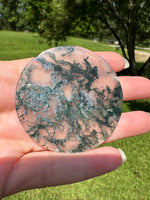 Moss Agate Polished Round Slice #4