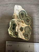 8th Vein Ocean Jasper Slab #49