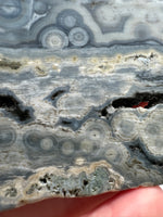 8th Vein Ocean Jasper Slab #5