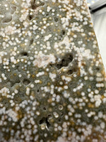 8th Vein Ocean Jasper Slab #8