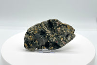 8th Vein Ocean Jasper Slab #19
