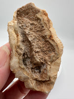 Druzy Quartz Haunted Ridge Rocks MO #14
