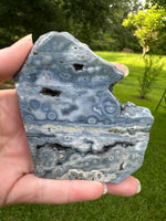 8th Vein Ocean Jasper Slab #61