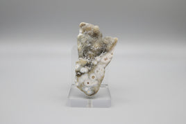 8th Vein Ocean Jasper Polished Free Form #30