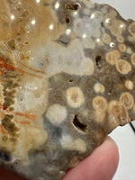 8th Vein Ocean Jasper Slab #58