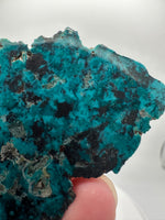 Chrysocolla, Shattuckite, Sonora, Mexico