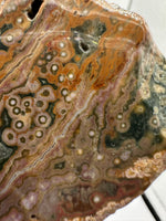 8th Vein Ocean Jasper Slab #10