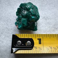 Green Dioptase from Republic of Congo Specimen #3