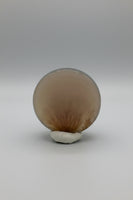 Designer Dendritic Agate Cabochon #5