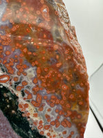 8th Vein Ocean Jasper Slab #25