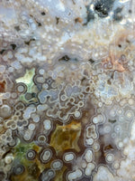 8th Vein Ocean Jasper Slab #47