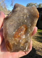 Savannah River Agate Specimen 1f