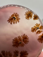 Scenic Dendritic Agate Cabochon #2