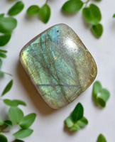 Square Labradorite Cabochon 80a