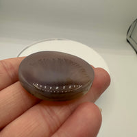 Designer Dendritic Agate Cabochon #5