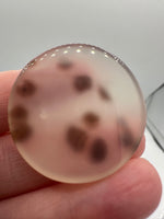 Scenic Dendritic Agate Cabochon #6