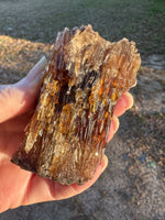 Natural Amber Calcite Raw Specimen UV Reactive #10