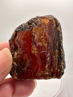 Madagascar Raw Amber Specimen #6