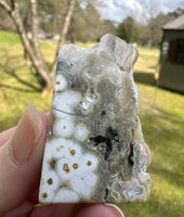 8th Vein Ocean Jasper Polished Free Form #23