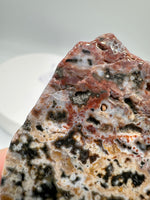 8th Vein Ocean Jasper Slab #40