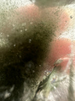 Garden Quartz Free Form #24