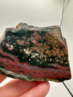 8th Vein Ocean Jasper Slab #46
