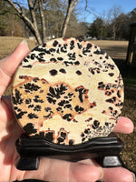 Natural Picture Jasper Slab with Stand #8