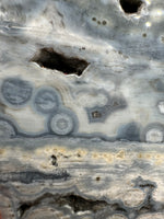 8th Vein Ocean Jasper Slab #61