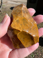 Savannah River Agate Specimen 1c