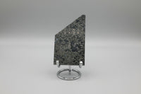Free Form Pyrite Flowers Symbiosis Mixed Agate Slab #2