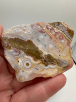 8th Vein Ocean Jasper Slab #48