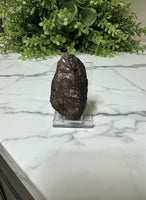 Raw Amber Specimen #3