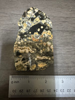 8th Vein Ocean Jasper Slab #33