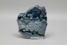 8th Vein Ocean Jasper Slab #45