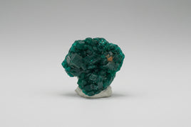 Green Dioptase from Reneville, DR Congo Specimen #2