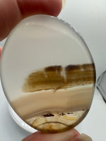 Designer Dendritic Agate Cabochon #4