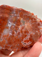8th Vein Ocean Jasper Slab #56